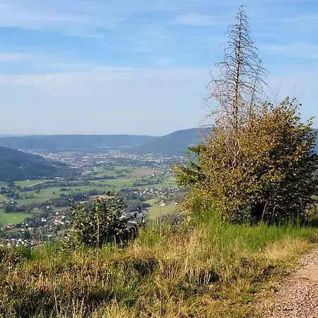 3* Au Coeur Des Vosges Apartment